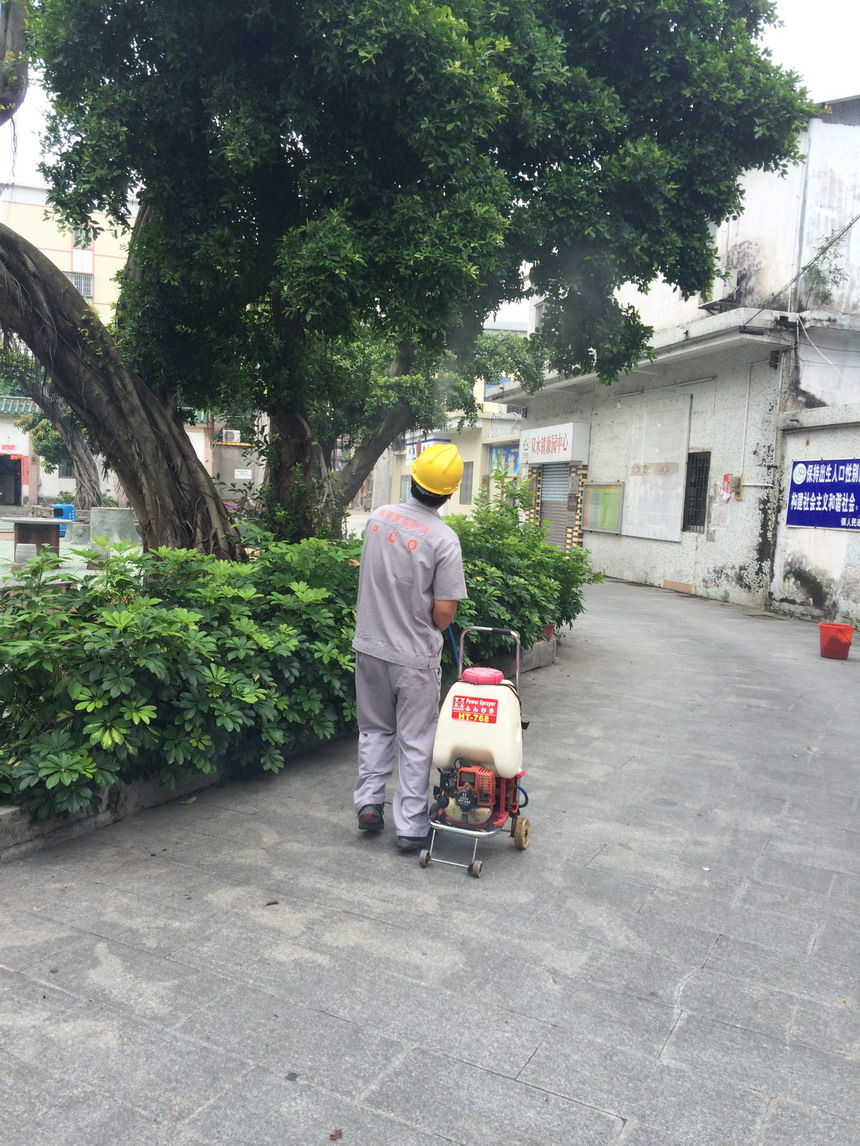 雙水創(chuàng)國(guó)家衛(wèi)生鎮(zhèn)除四害消毒施工